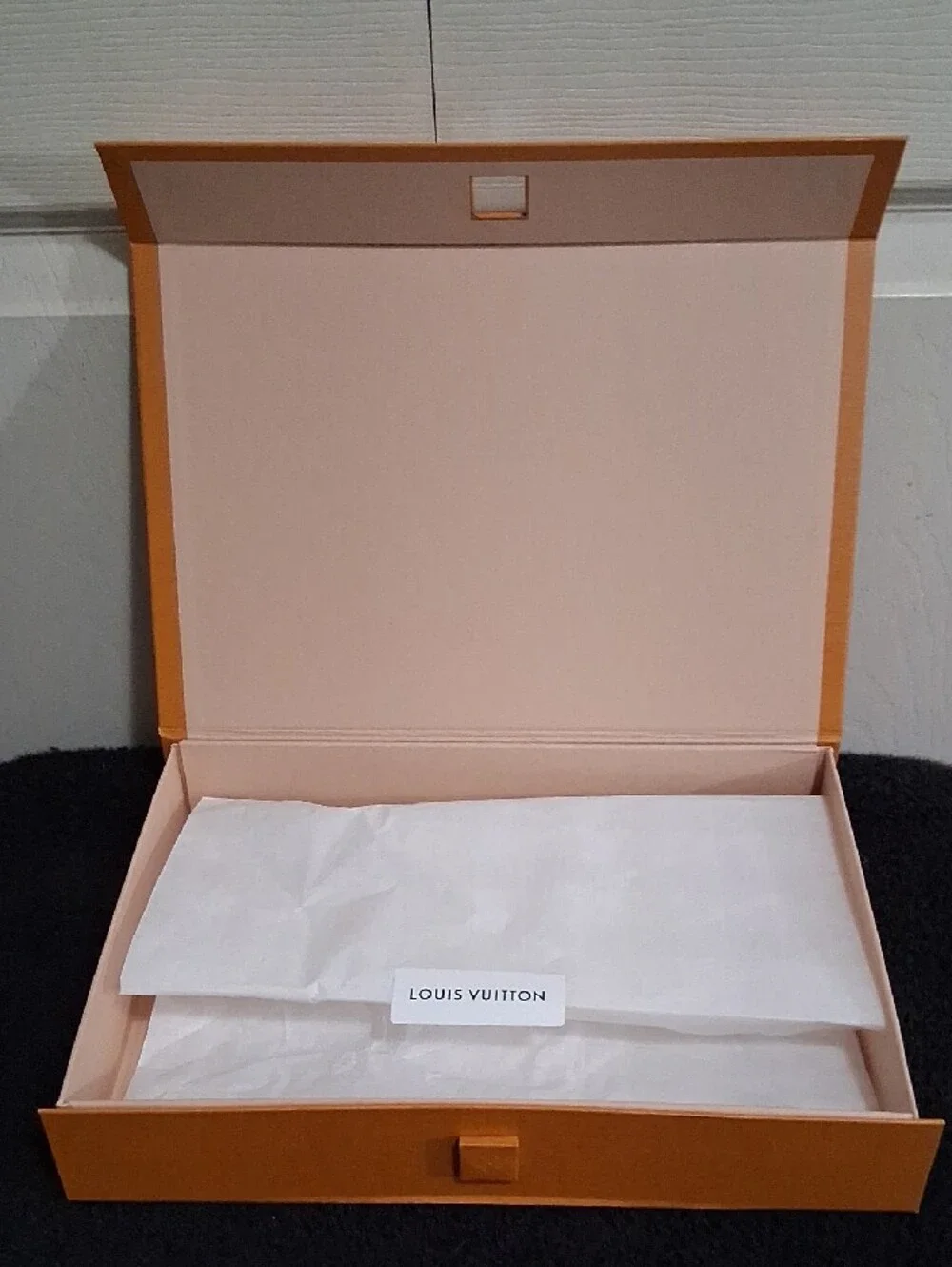 Louis Vuitton authentic louis